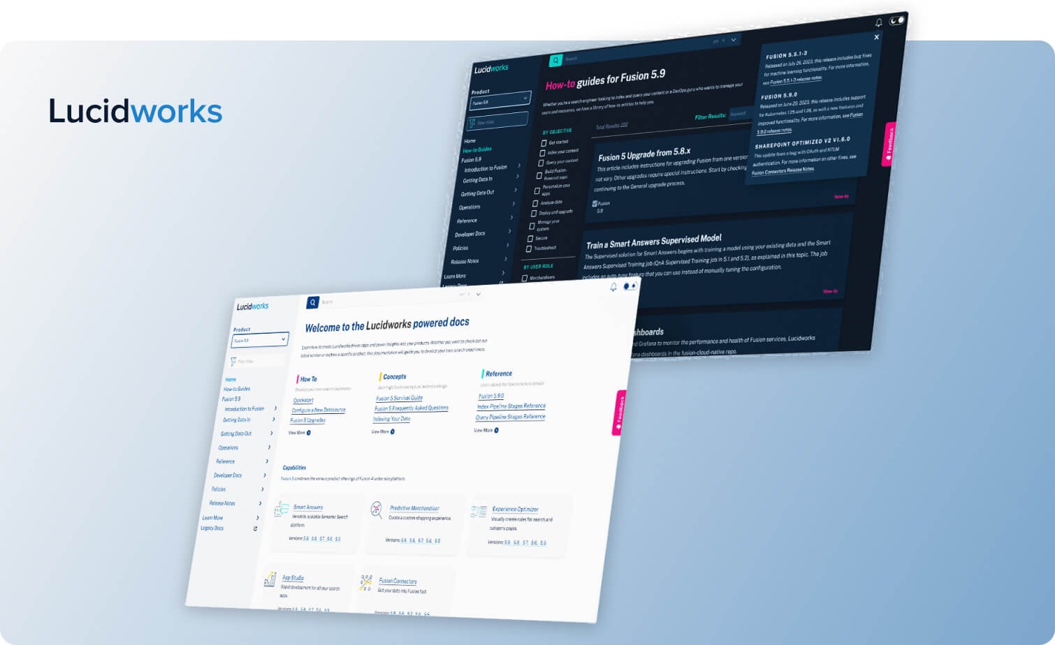 Lucidworks product image