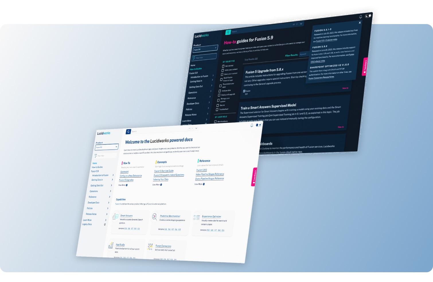 lucidworks image